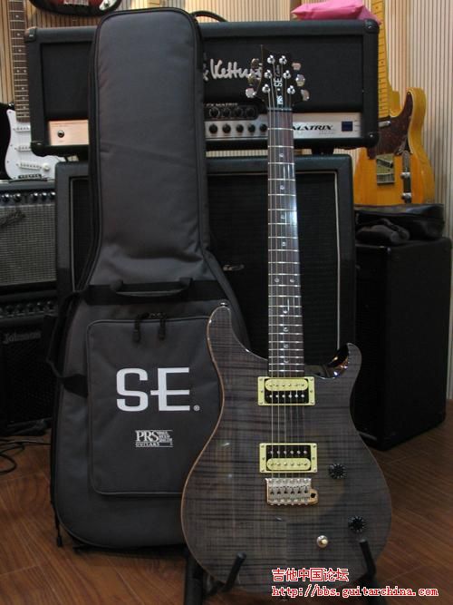 PRS SE CUSTOM GB.jpg